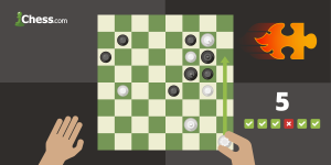 از کدام پلن chess.com استفاده کنیم