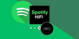 ویژگی های اسپاتیفای hifi